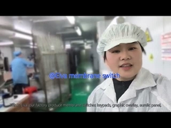 Προσαρμοσμένος διακόπτης μεμβράνης PET για ιατρικό εξοπλισμό και βιομηχανικές εφαρμογές